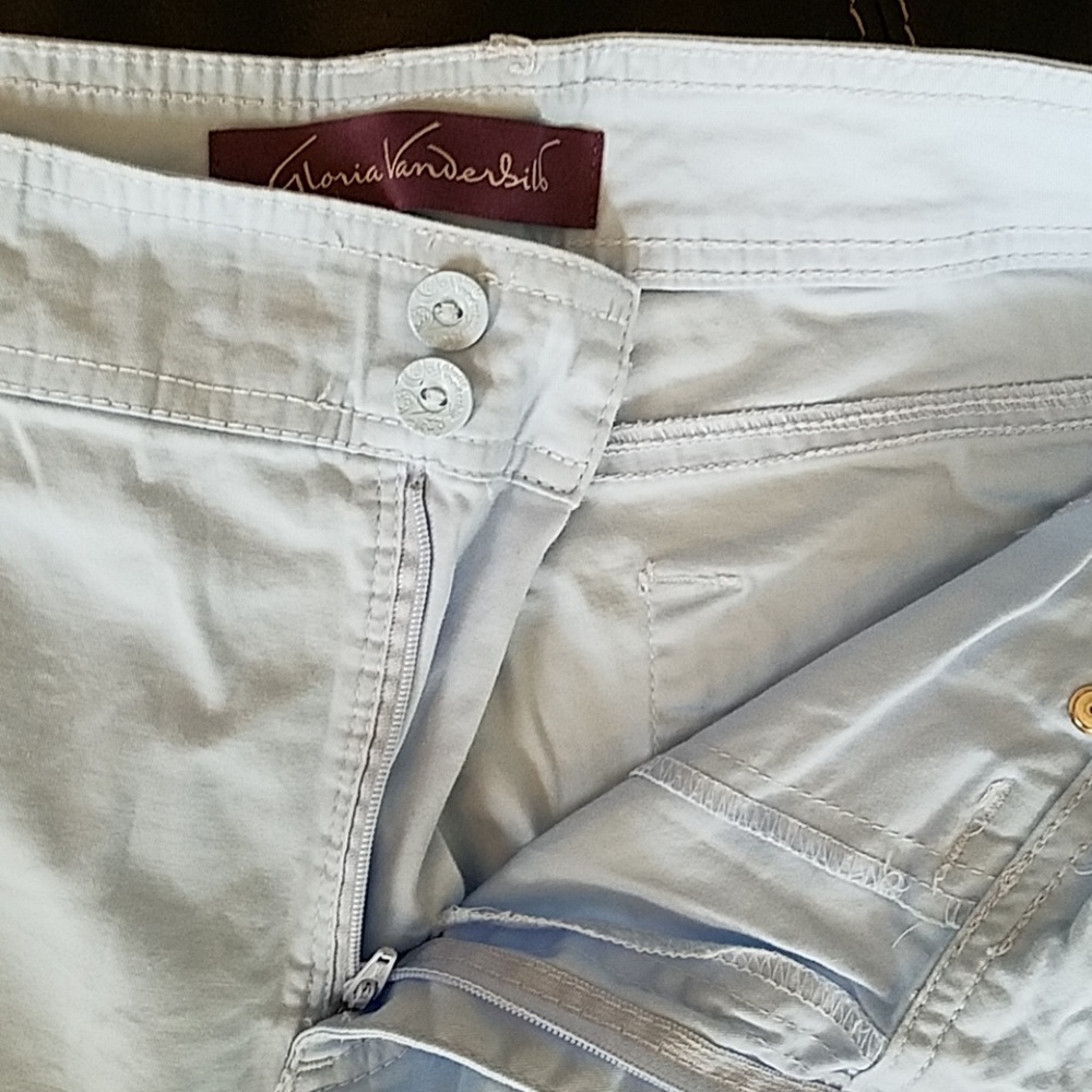 Gloria Vanderbilt Blue Embroidered Capris Size 12 - Picture 5 of 8
